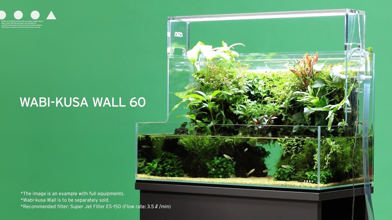 ADA DOOA Neo Glass Terra (H36cm) - Elegant Terrarium for Aquatic